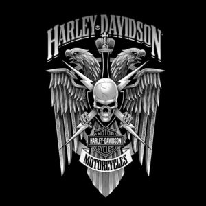 download Wallpaper’s Collection: «Harley Davidson Wallpapers»