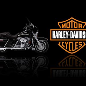 download Harley Davidson HD Wallpaper Free download | PixelsTalk.Net