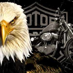download HD Harley Davidson Wallpaper