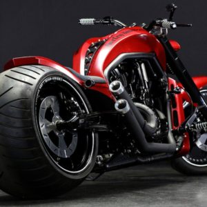 download Harley Davidson wallpapers | Freshwallpapers