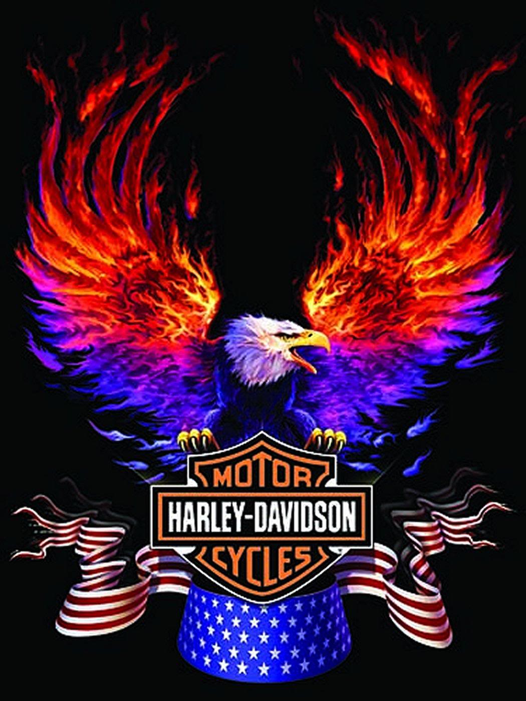 17 Best ideas about Harley Davidson Wallpaper on Pinterest …