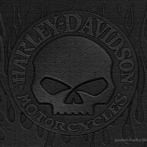 download Harley Skull Wallpaper – WallpaperSafari