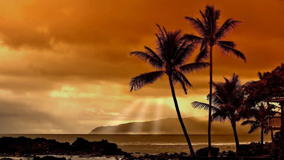 Hawaiian Sunset HD Wallpaper