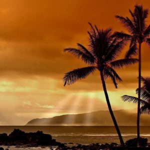 download Hawaiian Sunset HD Wallpaper