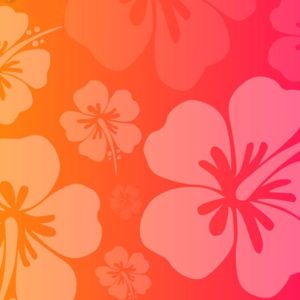 download Hawaiian Flower Wallpaper : Pink Hawaiian Flowers Background Utama …