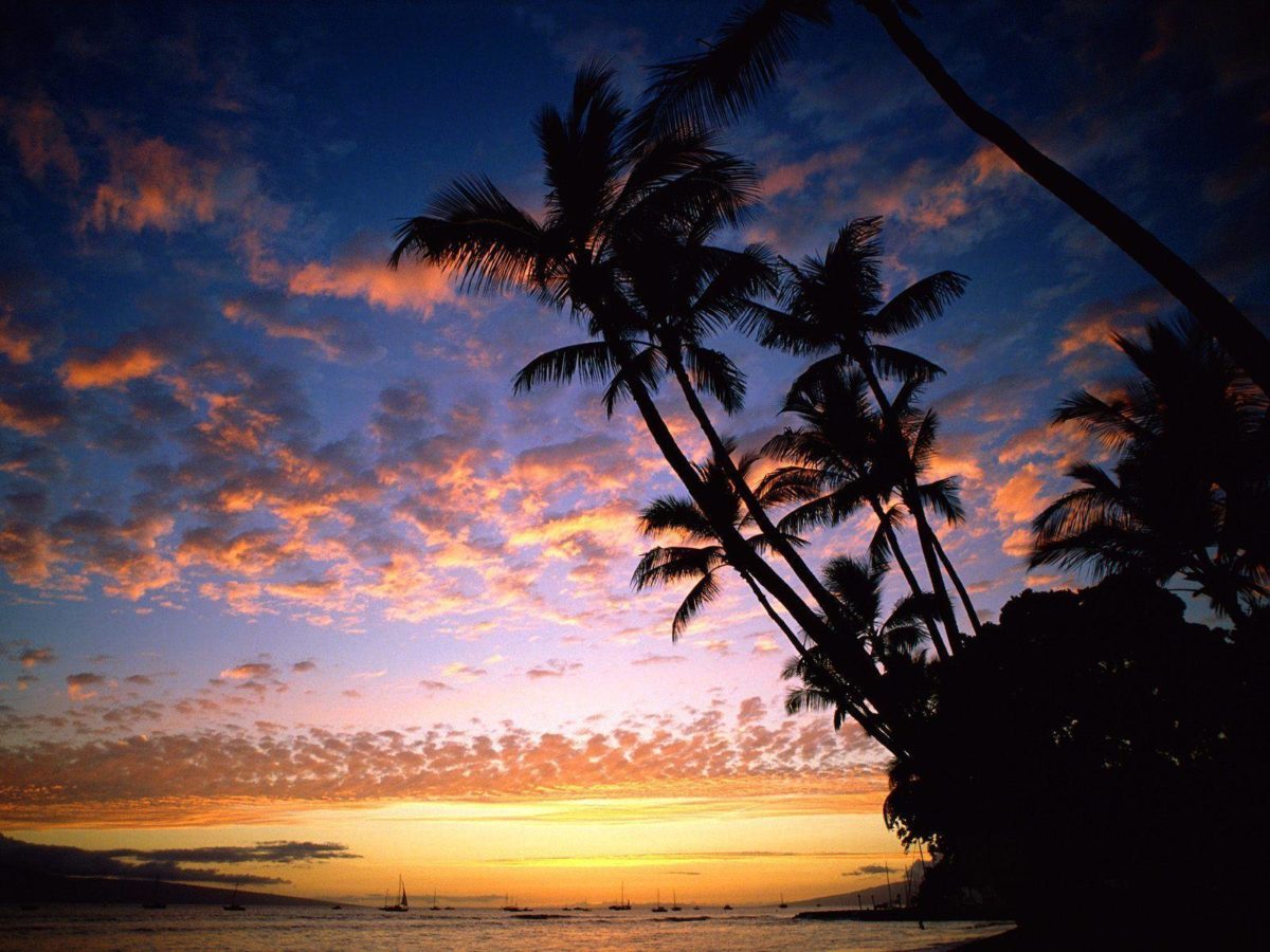 Wallpapers For > Hawaiian Sunset Background