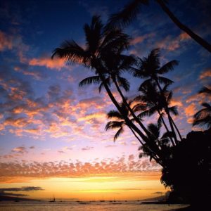 download Wallpapers For > Hawaiian Sunset Background