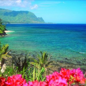 download Adorable HDQ Backgrounds of Hawaiian, 44 Hawaiian Full HD Wallpapers