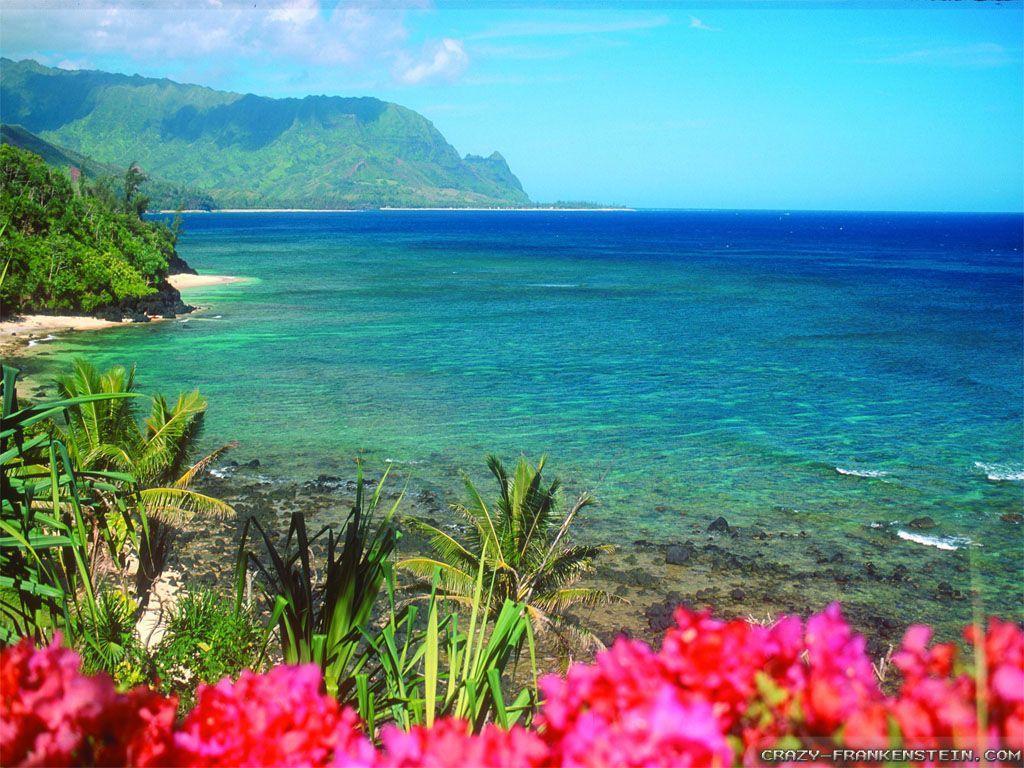 Adorable HDQ Backgrounds of Hawaiian, 44 Hawaiian Full HD Wallpapers