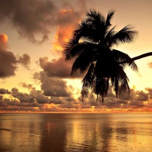 download 40 Free HD Hawaii Wallpapers For Download