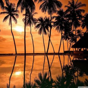 download Hawaiian Beach Sunset Reflection HD desktop wallpaper : High …