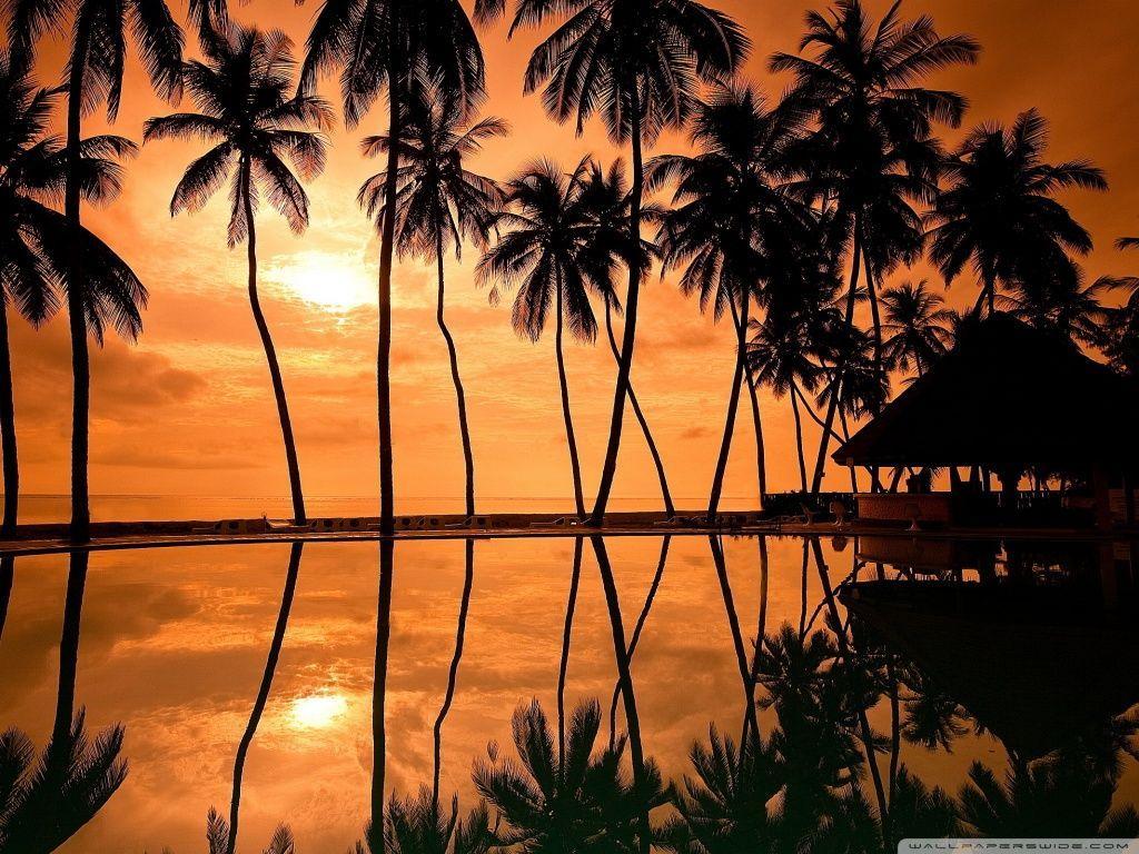 Hawaiian Beach Sunset Reflection HD desktop wallpaper : High …