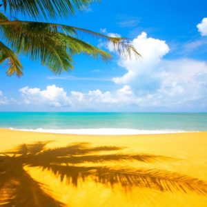 download Hawaii Beach Wallpapers – HD Images New