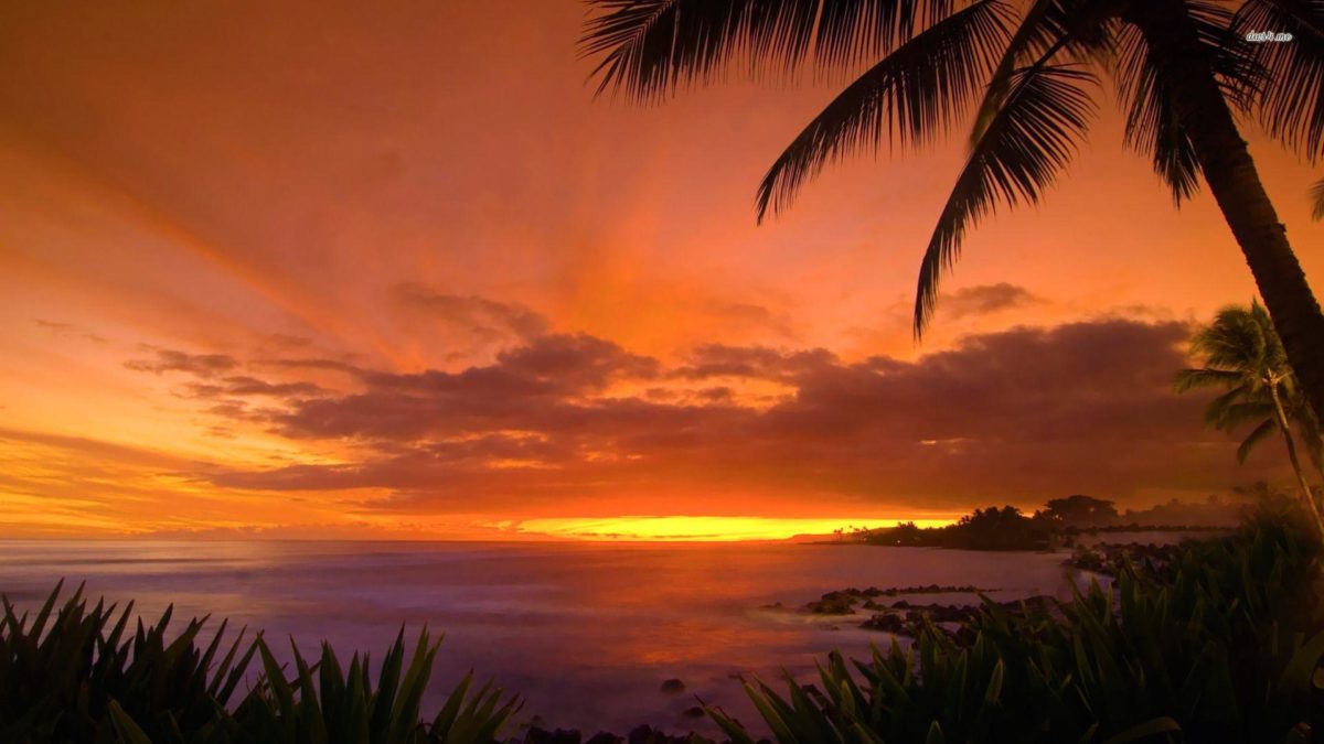 Hawaii Sunset Wallpaper – WallpaperSafari