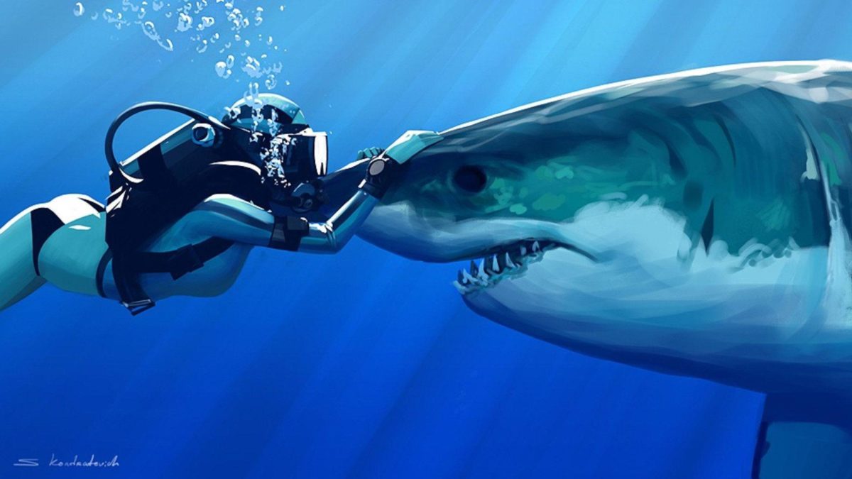 Sharks-HD-Wallpaper-4 – Animals Planent.