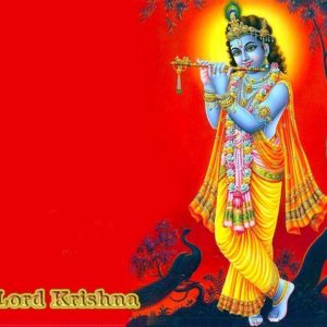 download Gopal Krishna | HINDU GOD WALLPAPERS FREE DOWNLOAD