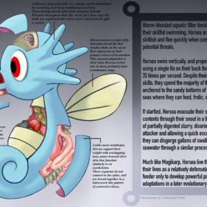 download Horsea Anatomy- Pokedex Entry by Christopher-Stoll on DeviantArt
