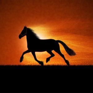 download More horse wallpapers! – Horses Wallpaper (15705255) – Fanpop