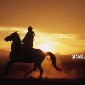 download Slawik horse wallpapers – Horses Wallpaper (6070992) – Fanpop