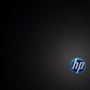 download HP Spider Wall wallpapers | HP Spider Wall stock photos