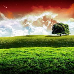 download Indian Flag wallpaper – 211176