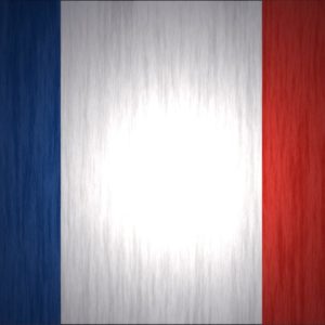 download France flag