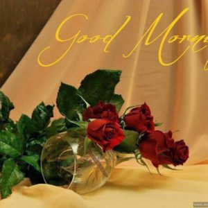 download stylish Good Morning HD Wallpapers in English & Hindi | HD Walls