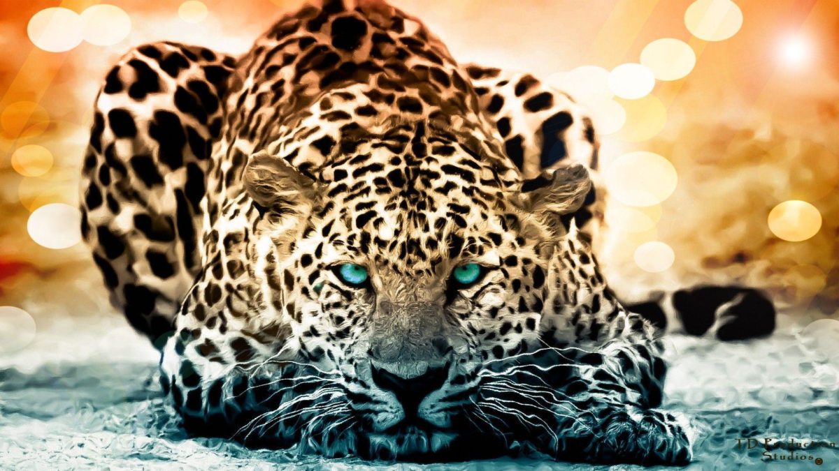 188 Jaguar HD Wallpapers | Backgrounds – Wallpaper Abyss