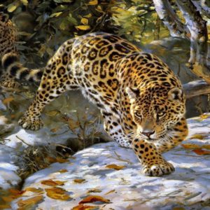 download Wallpaper's Collection: «Jaguar Wallpapers»