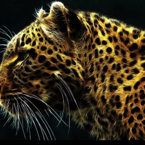 download Jaguar Wallpaper, PC 34 Jaguar Pictures, LL.GL Backgrounds Collection
