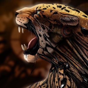 download jaguar wallpaper HD