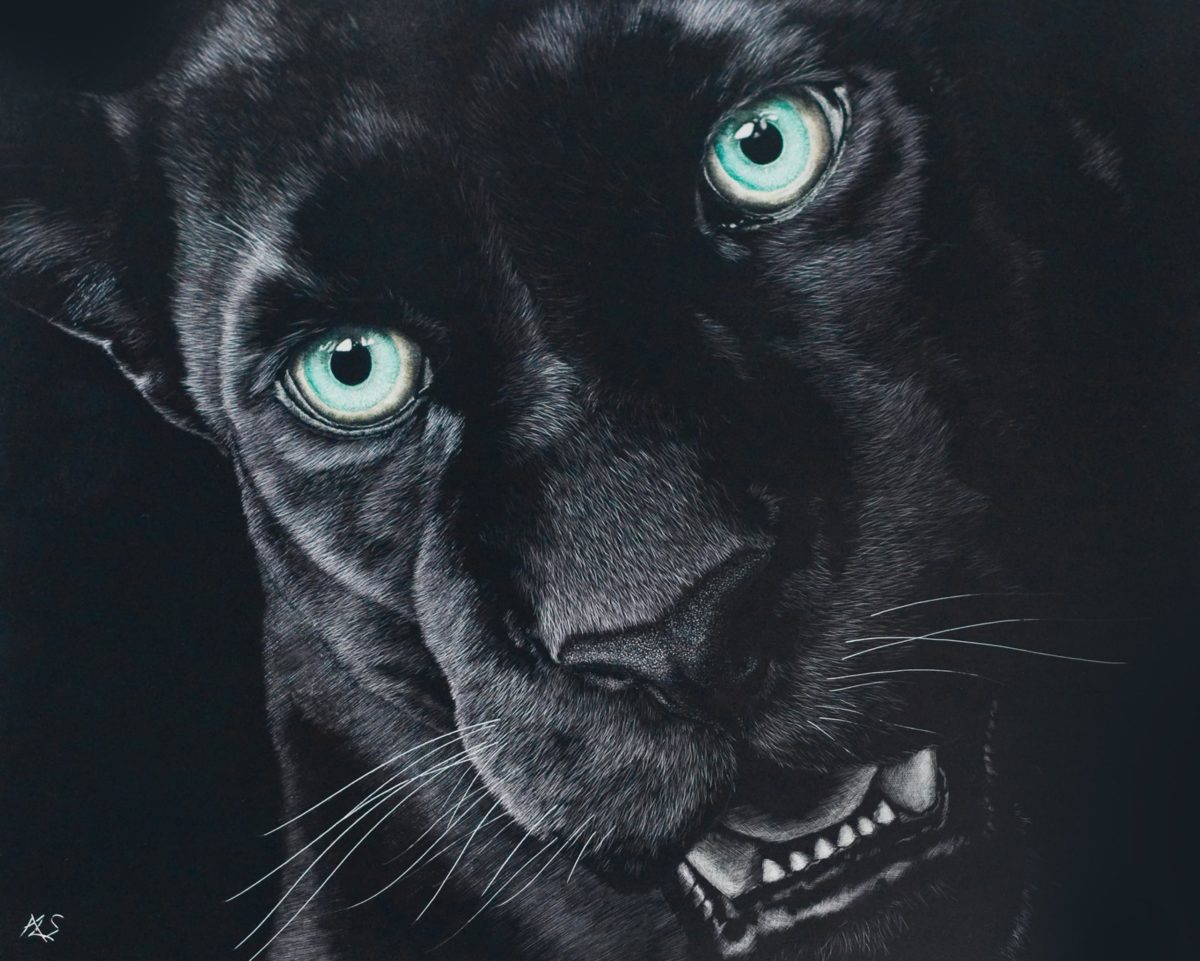 Black Jaguar Wallpapers HD Download