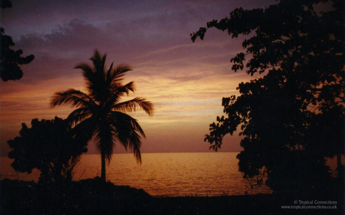 Free Wallpaper – Sunset in Jamaica – Tropical Connections