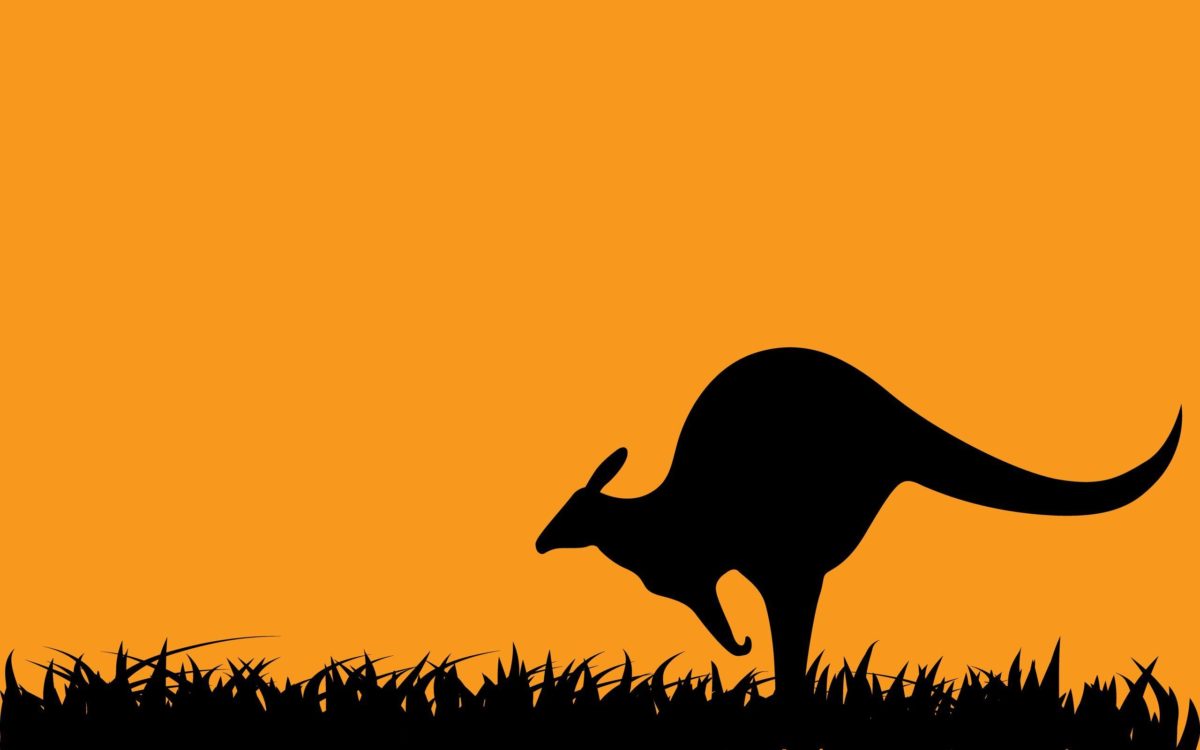 Art Kangaroo Wallpapers | Pictures