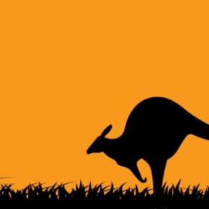 download Art Kangaroo Wallpapers | Pictures