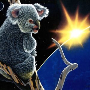 download Koala wallpaper Wallpapers – HD Wallpapers 3134