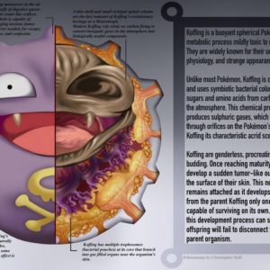 download Koffing Anatomy- Pokedex Entry by Christopher-Stoll on DeviantArt