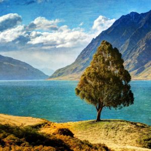 download Tree By The Lake HD desktop wallpaper : High Definition …