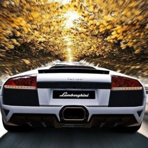download Forest Car Lamborghini Background Wallpapers Default resolution …