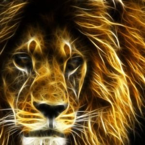 download 30 Undomesticated Lion Wallpapers – Pics Champ