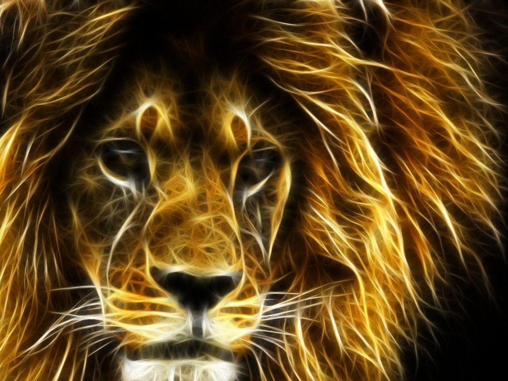 30 Undomesticated Lion Wallpapers – Pics Champ