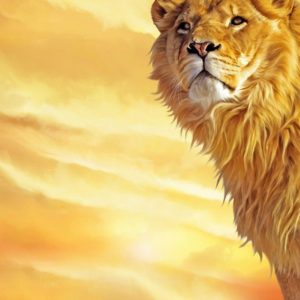 download Mac Lion Wallpapers – Full HD wallpaper search – page 8