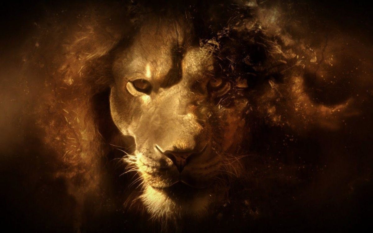 lion wallpapers | lion wallpapers