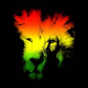 download Lion wallpapers