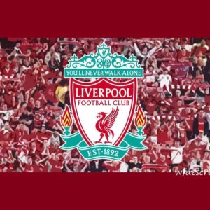 download Unique Liverpool Fc Wallpapers Screensaver Wallpaper | Football …