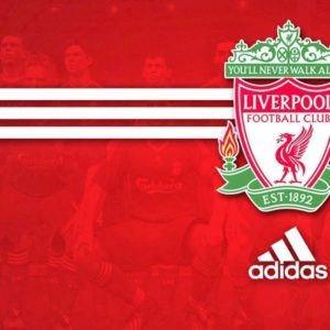 download Collection of Liverpool Fc Wallpapers on Spyder Wallpapers