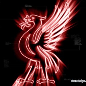 download Liverpool FC background Liverpool FC wallpapers | IMAGEIF