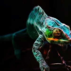 download Best Art Lizard Wallpaper | Paravu.com | HD Wallpaper and Download …
