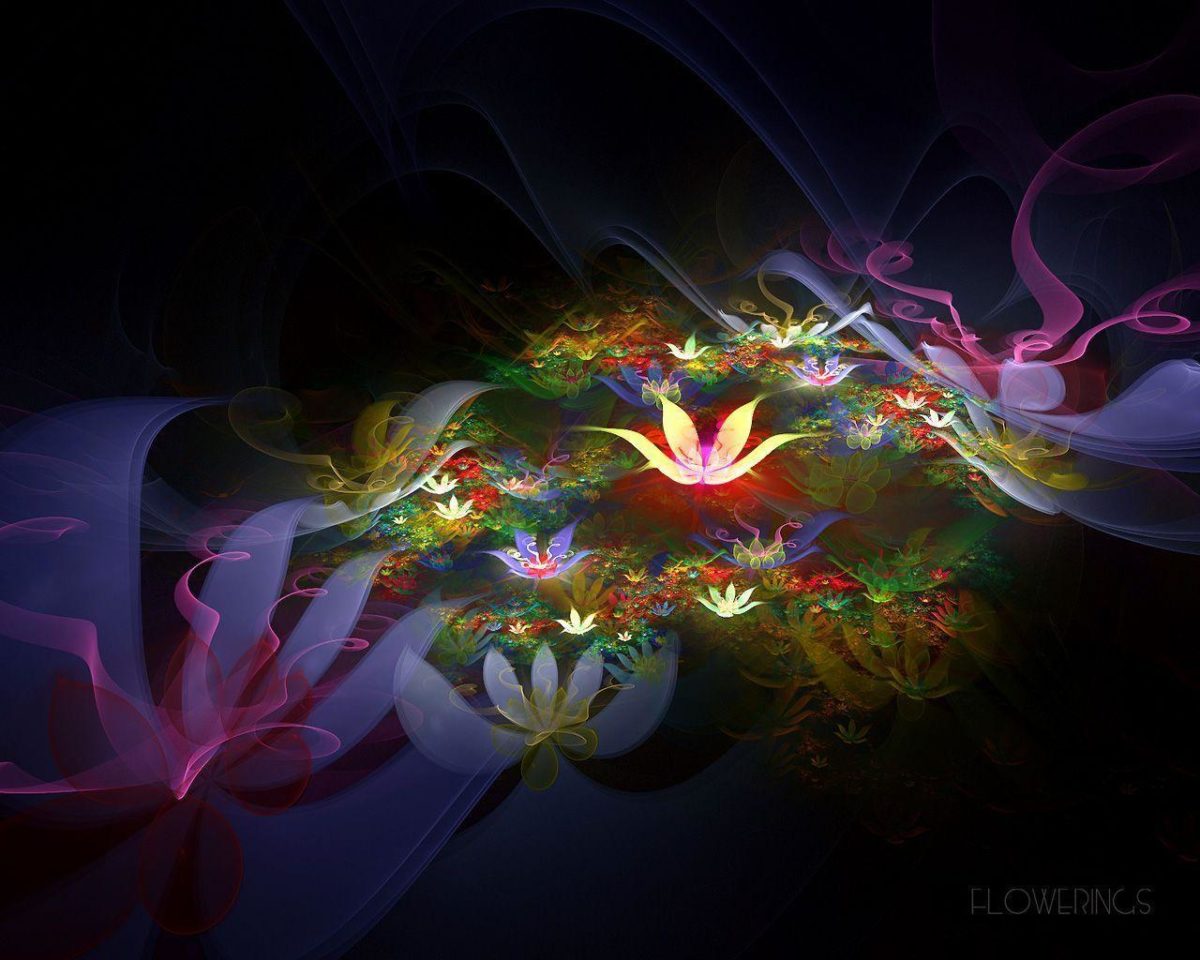 Fantastic lotus flower Wallpapers – HD Wallpapers 1284