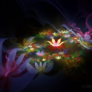 download Fantastic lotus flower Wallpapers – HD Wallpapers 1284